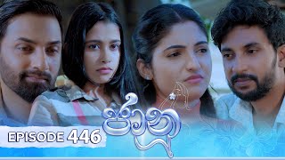 Jaanu  Episode 446  20241108  ITN [upl. by Cleve225]