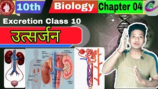 Excretion class 10 biology in hindi  class 10 biology chapter 4  utsarjan class 10 gautam sir [upl. by Enyleve913]