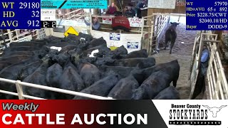 1252023  Beaver County Stockyards Livestock Auction [upl. by Delaryd744]