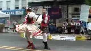 Polonaise Folk Dancers  Clarinet Polka Solo [upl. by Leopoldine183]