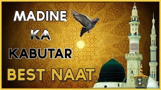 MADINE KA KABUTAR । BEST HEART TOUCHING NAAT । BY JANAB AHMAD SAGAR [upl. by Cristobal760]