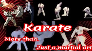 World Champion Karate Masters Demonstrate DEADLY Techniques  SHOTOKAN KARATE youtube karate kick [upl. by Nissa]