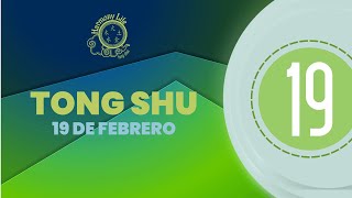 Consejos del Tong Shu para el 19 de febrero Buey de Agua Yin [upl. by Izaak]