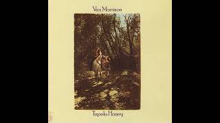 Van Morrison  Tupelo Honey 1971 Part 1 Full Album [upl. by Aittam]