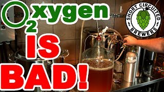 Transfer beer from primary to secondary oxidation free How to transfer beer to keg oxidation free [upl. by Lorie656]