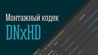 Монтажный кодек DNxHD Установка сравнение пакетное конвертирование в Adobe Media Encoder [upl. by Anilah700]