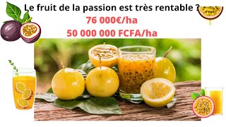 La culture du fruit de la passion de A à Z  cette culture génère plus de 76 000€ha  agribusiness [upl. by Savill72]