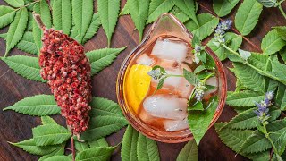 Staghorn Sumac Lemonade Overnight Tea [upl. by Iztim]