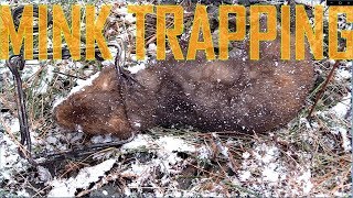 Mink Trapping Bottom Edge Set [upl. by Nottirb829]