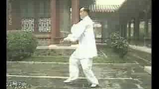 Funei Yang Style Taijiquan  Li Zheng [upl. by Noyr]