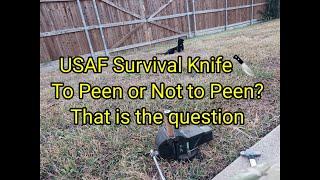 1621 USAF Survival Knife 🔪Will Peening Again Work [upl. by Caresa]