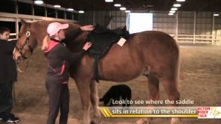 Positioning Treeless Saddles on Horse for First Time [upl. by Leong]