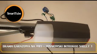 Brama garażowa na WiFi za 50 PLN WIŚNIOWSKI INTRO 600 Shelly 1 [upl. by Bliss]