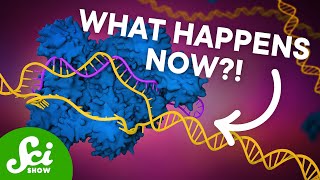 The First CRISPR Gene Therapy Is Here [upl. by Shelbi310]