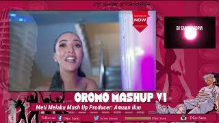 Best Oromo Mashup Music l Nonstop l hawitemam7327 l Best Oromo Music ZabiidaaShaShaampVarious Artists [upl. by Clarke]