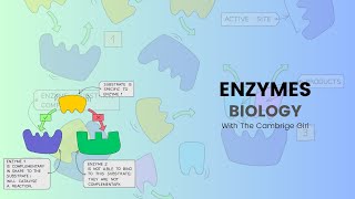 EnzymesIGCSE BIOLOGY Proper explanation [upl. by Amees]