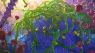 Inner Life of a Cell  Protein Packing Animation [upl. by Am]