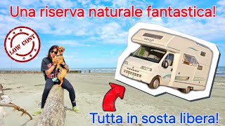 Scopriamo in camper una riserva naturale pazzesca  tutta in sosta libera [upl. by Kahlil]