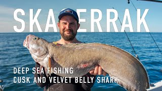 Skagerrak Deep Sea Fishing  Cusk and Velvet Belly Shark [upl. by Radek]