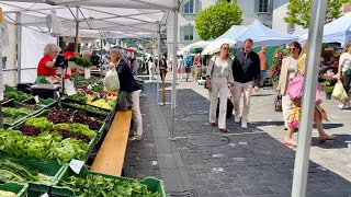 Luzern🇨🇭Switzerland  Market in Lucerne  Travel guide  4K [upl. by Annekahs]