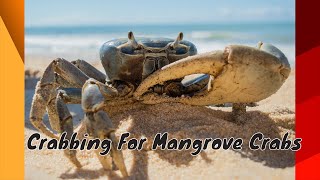 Crabbing for Mangrove crabs Caroni bird sanctuary Trinidad Blue crabs Sirick catch clean Part 1 [upl. by Inger320]