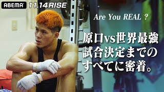 【1114 RISE】「マジか！」quotガチ世界最強quotが来日！『原口は本物なのか』試合決定の「瞬間」に完全密着、原口の声はうわずっていた｜1114 RISE WORLD SERIESアベマで生中継！ [upl. by Assilac]