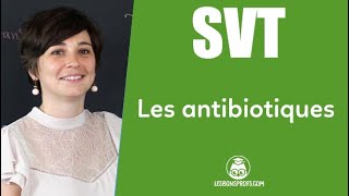 Les antibiotiques  SVT  Collège  Les Bons Profs [upl. by Palma227]