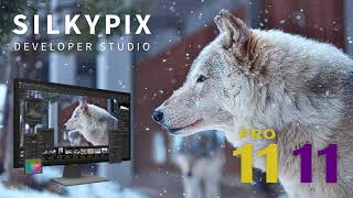 quotSILKYPIX Developer Studio Pro11quot promotion movie [upl. by Arvonio]