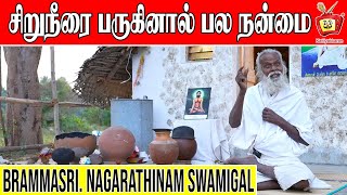 காஞ்சிபுரத்தில் வாழும் சித்தர்  Part2 SITHAR IN KANCHI  Kattiyakkaran [upl. by Chew]