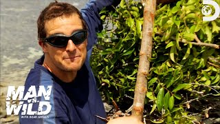 Bear Grylls Catches a Stingray While Spear Fishing  Man vs Wild  Discovery [upl. by Vanthe]