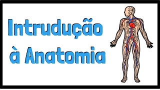 VídeoAula n°1 Divisao do corpo humano e posição anatomica [upl. by Nanreh]