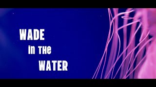 Wade in the Water  Cigar Box Scott  Official Music Video [upl. by Bergess]