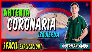 ARTERIA CORONARIA IZQUIERDA [upl. by Shannen]