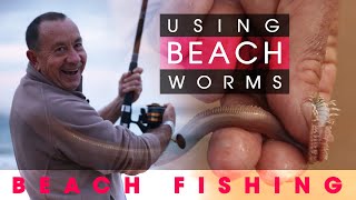 Fishing Off The Beach Using BEACH WORMS 🪱🪱🪱🪝 [upl. by Ahsauqram706]