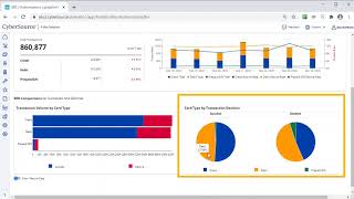 Cybersource Analytics BIN Dashboard [upl. by Barnes]