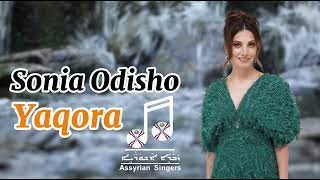 Sonia Odisho Yaqora 2024 [upl. by Hime]