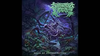 Regurgitation Excrement  Acts Of Putrefaction Full Album [upl. by Aneehsat664]