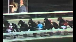 1978 Inter Dominion Pacing Championship Final Moonee Valley harness racing [upl. by Adelric148]