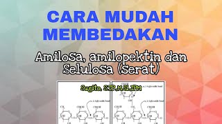 CARA MUDAH Membedakan Amilosa Amilopektin dan Serat [upl. by Severen]