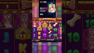 СОБАКИ ДОЛЖНЫ СКОРО ДАТЬ ЧУВСТВУЮ ЭТО slots casino slot топ jackpot bigwin slotmachine win [upl. by Aihsaei517]