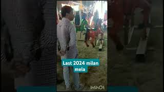 Kuch thanda pilo song khesariyakibetisapanwameaatihai milan mela 2024 [upl. by Mountfort]