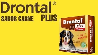 Drontal plus [upl. by Huey996]