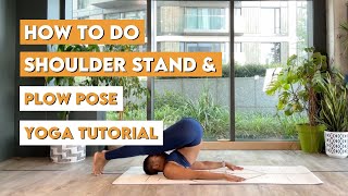 Shoulder Stand amp Plow Pose for Beginners Step by Step Tutorial [upl. by Nomihs236]