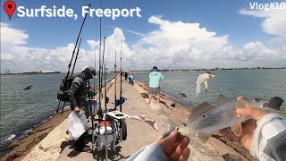 Sharks Take Over Surfside Jetty 🦈🎣 [upl. by Zusman351]