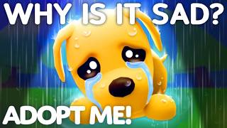 Why The Adopt Me Dog Is SAD [upl. by Ardnaz]