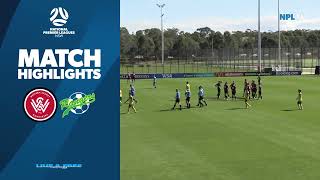 NPL NSW Mens Round 29 – WSW v Mt Druitt Town Rangers [upl. by Ylrac334]