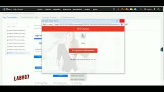 iMaster NCE Campus Huawei  WLAN Captive Portal Builtin Anonymous [upl. by Pavlov97]