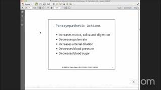 Introduction to Optometric Syntonic Phototherapy [upl. by Karab897]