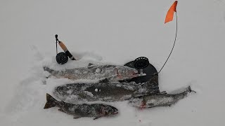 ТУНДРА РАДУЕТ УЛОВОМ  WINTER FISHING [upl. by Etnoel358]