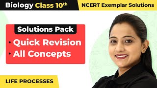 Class 10 Biology Unit 6 NCERT Exemplar Book  Life Processes  Quick RevisionAll Concepts 202223 [upl. by Rebmaed]